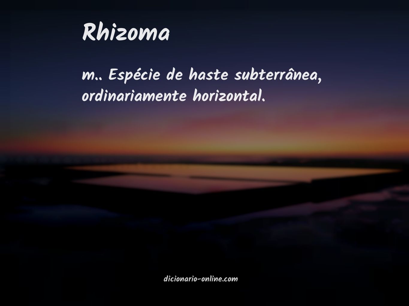 Significado de rhizoma