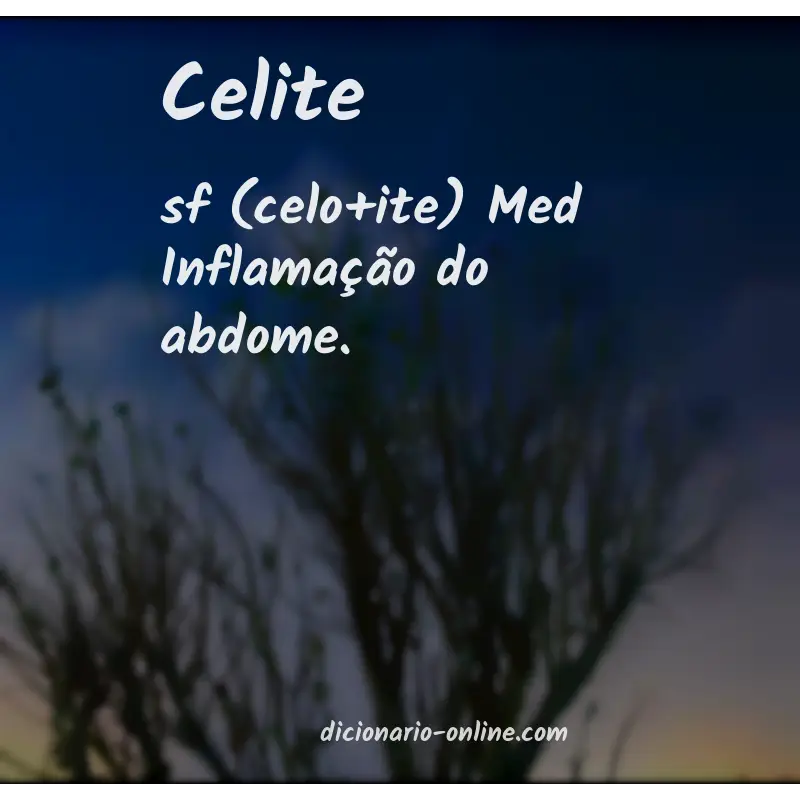 Significado de celite