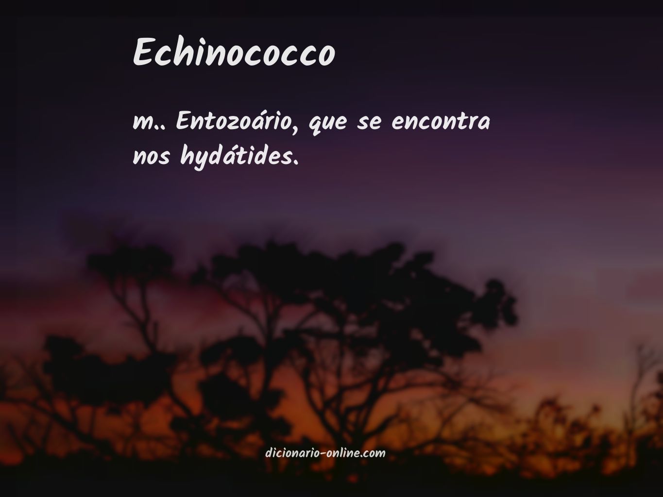 Significado de echinococco