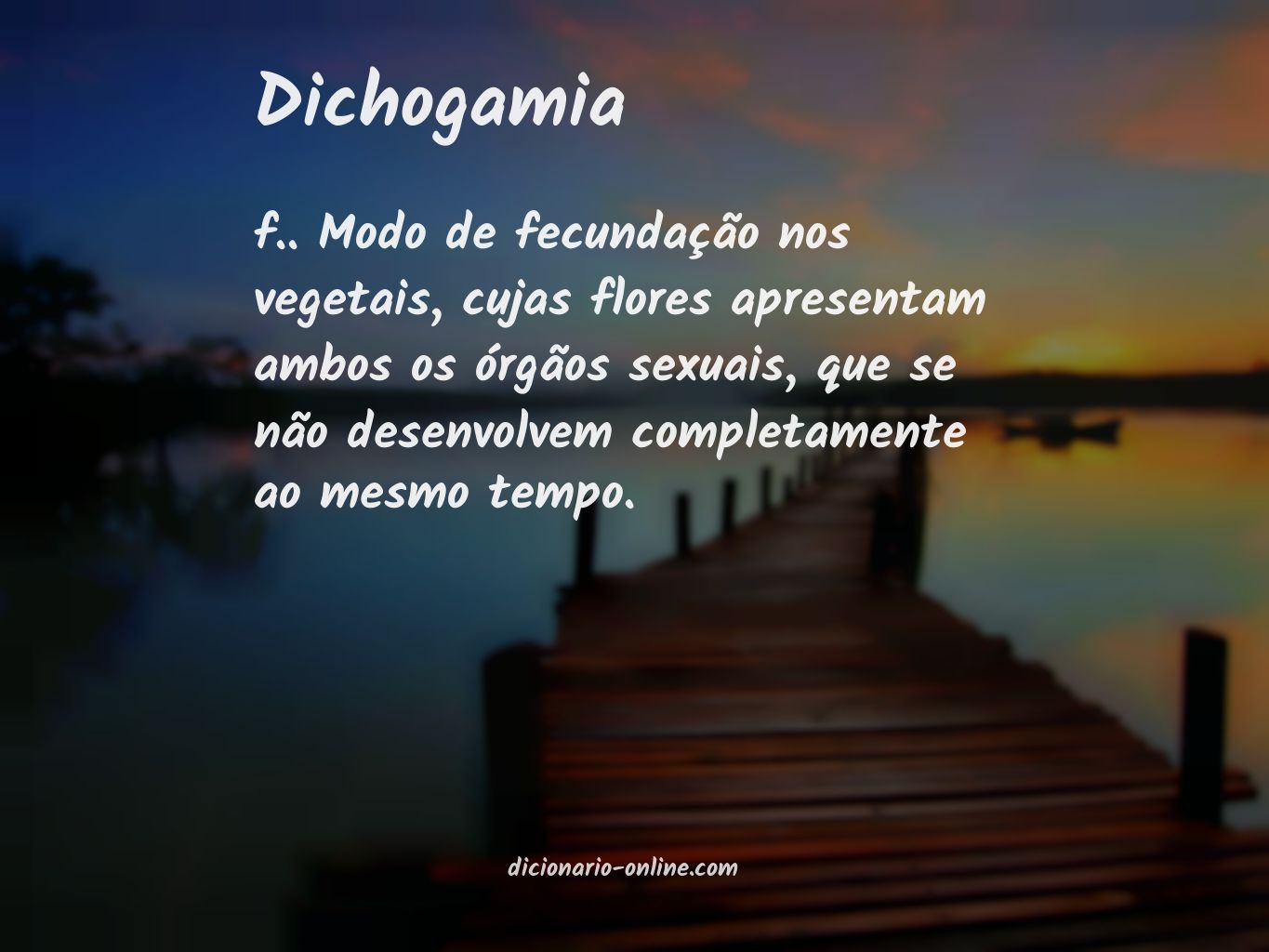 Significado de dichogamia