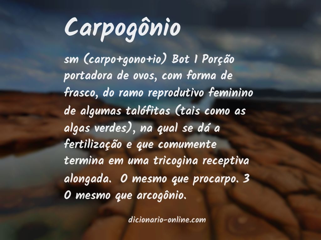 Significado de carpogônio