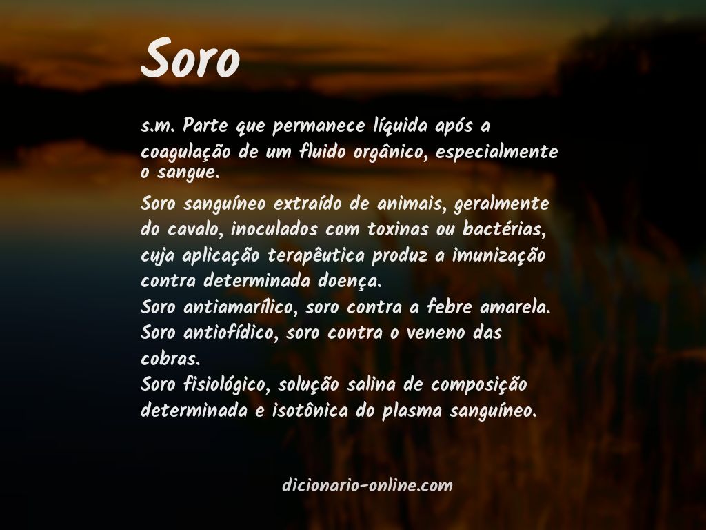 Significado de soro