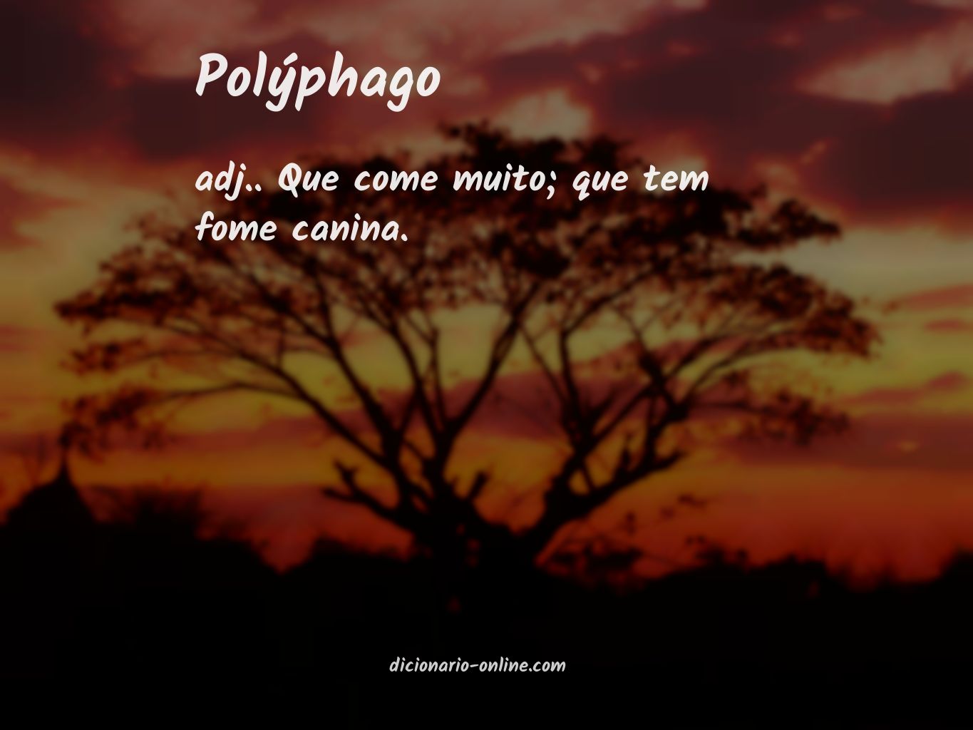 Significado de polýphago