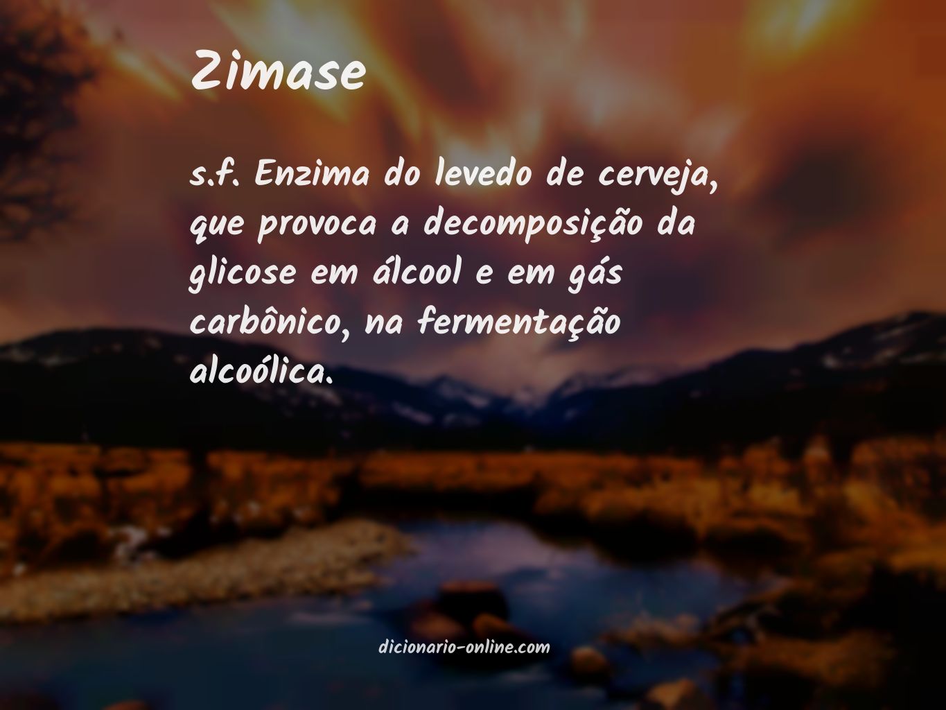 Significado de zimase