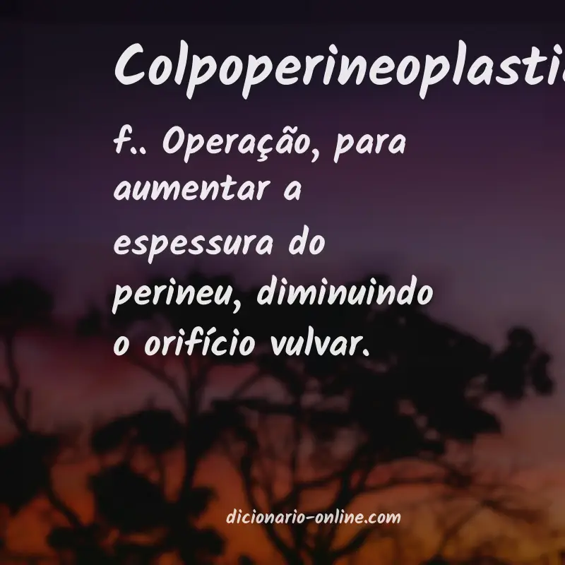 Significado de colpoperineoplastia
