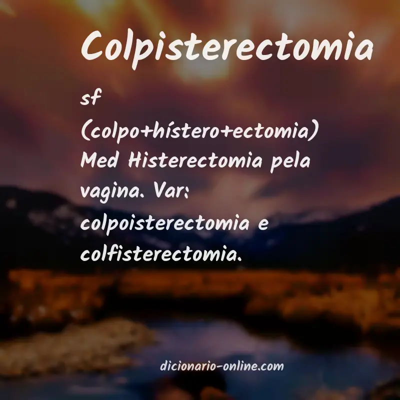 Significado de colpisterectomia