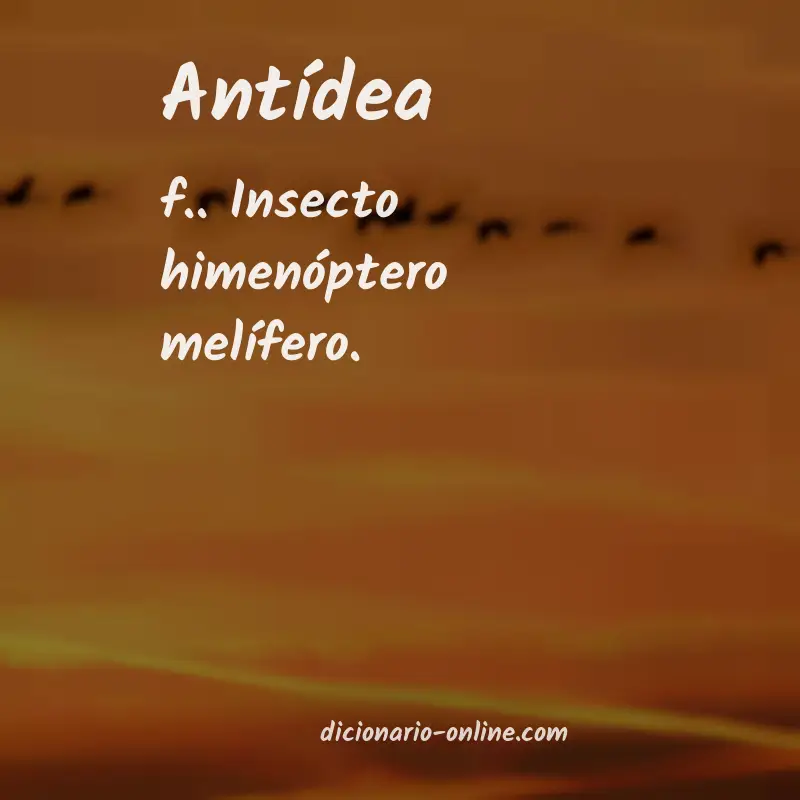 Significado de antídea