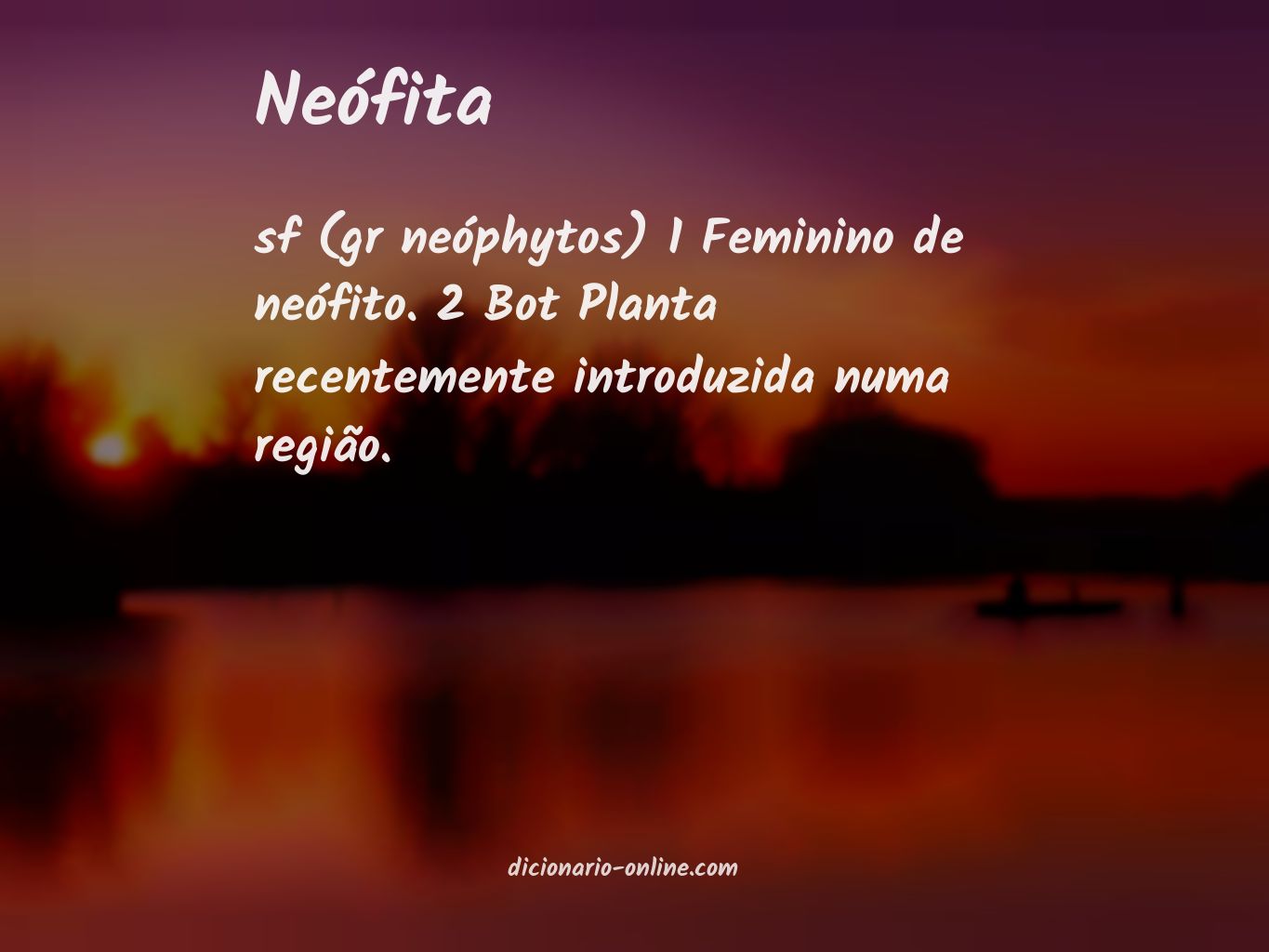 Significado de neófita