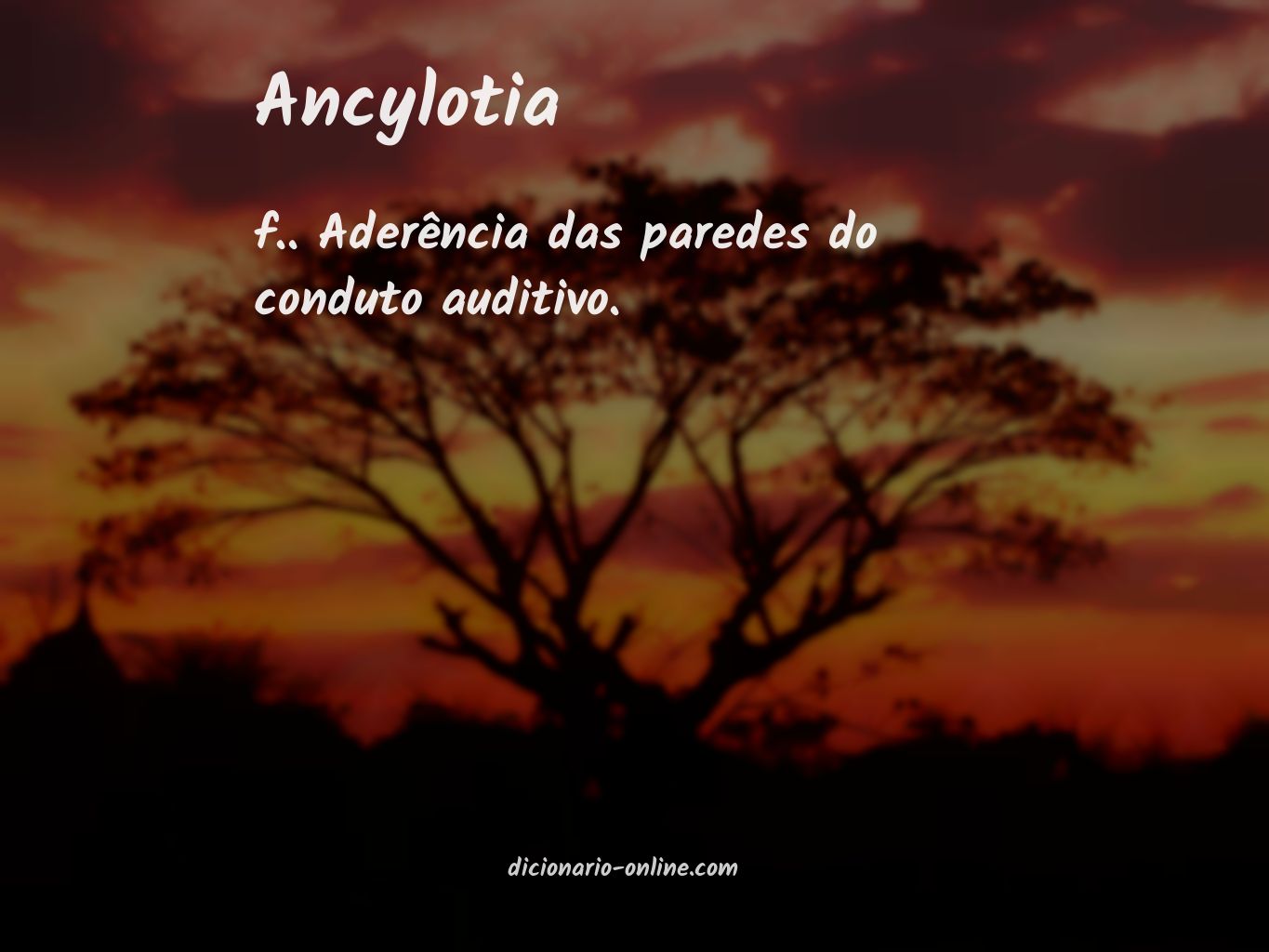 Significado de ancylotia