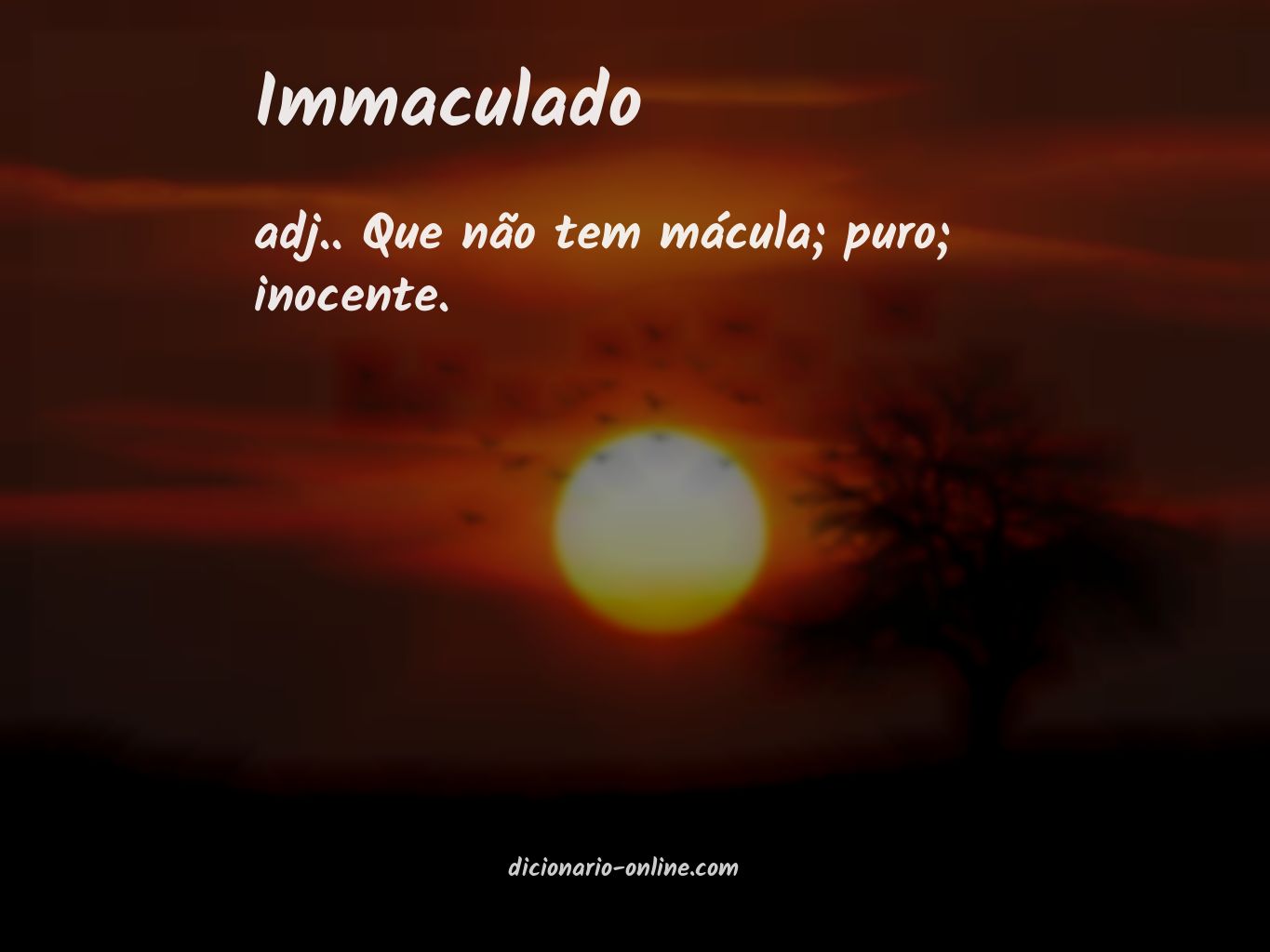 Significado de immaculado