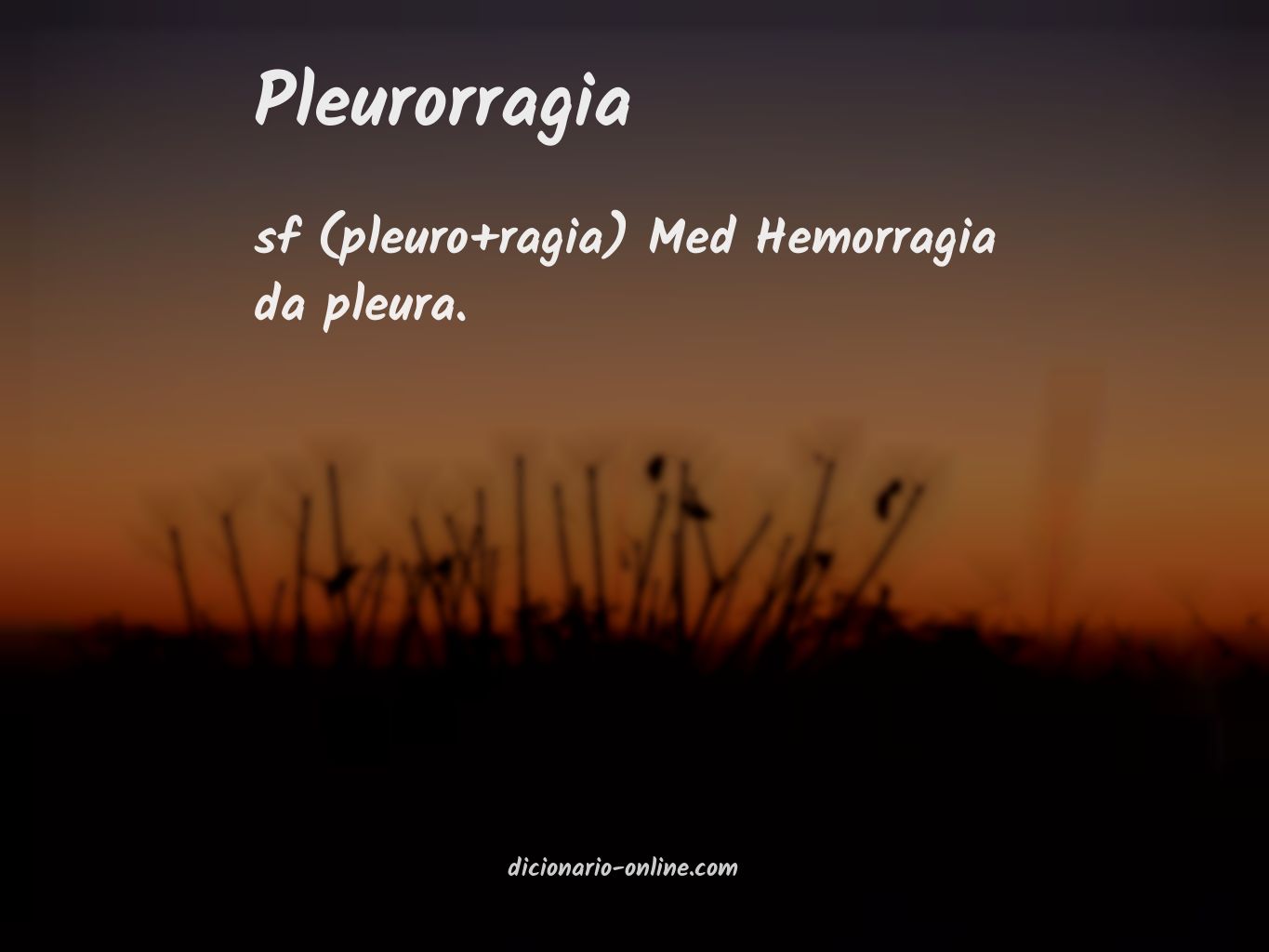 Significado de pleurorragia