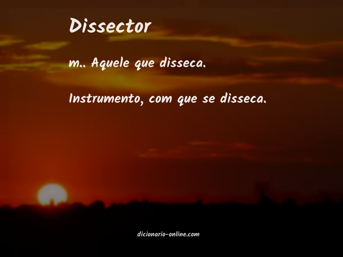 Significado de dissector