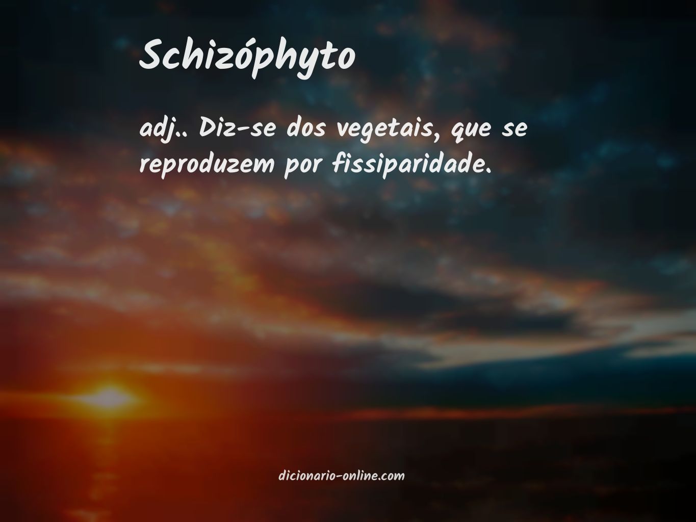 Significado de schizóphyto