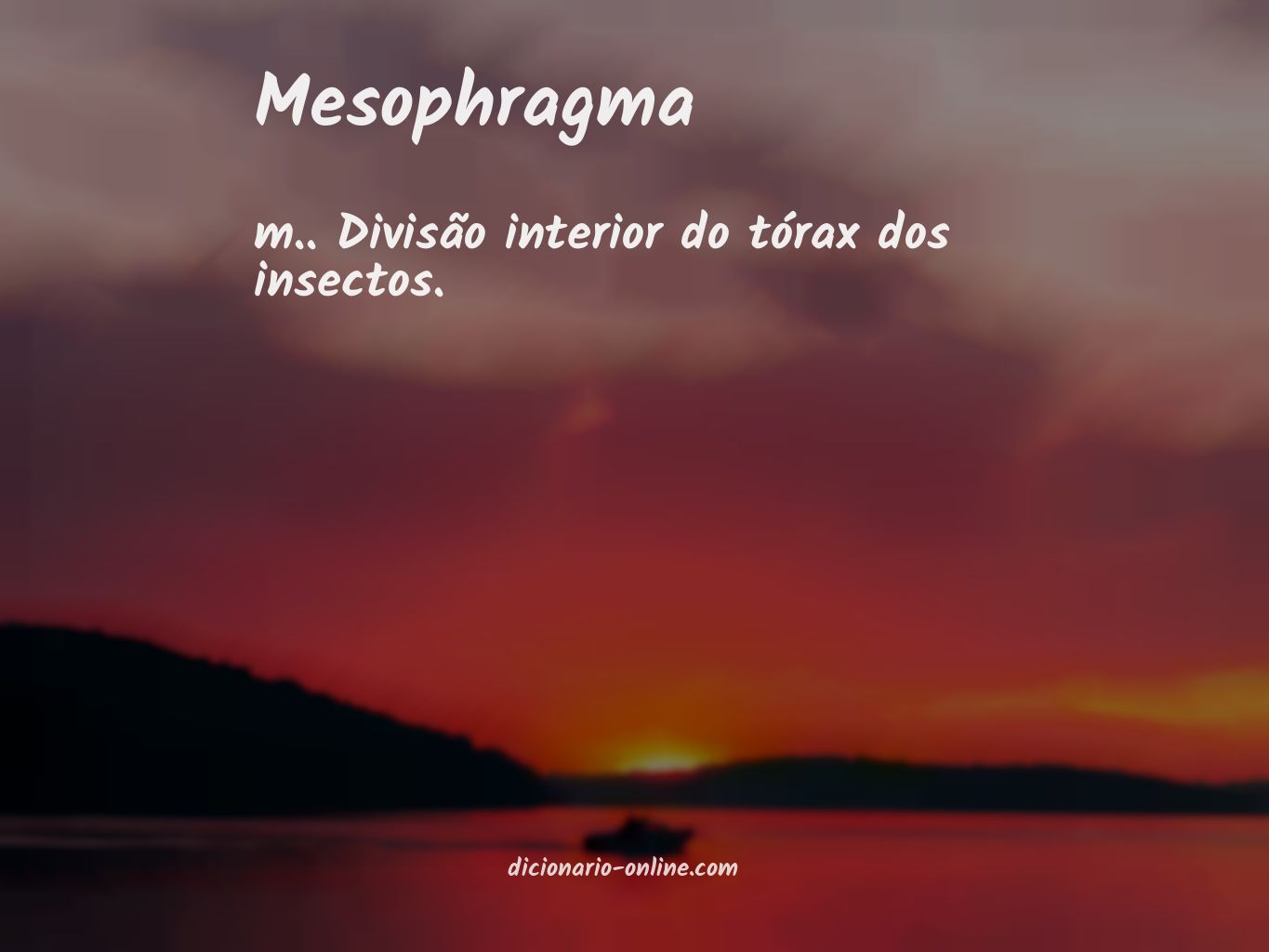 Significado de mesophragma