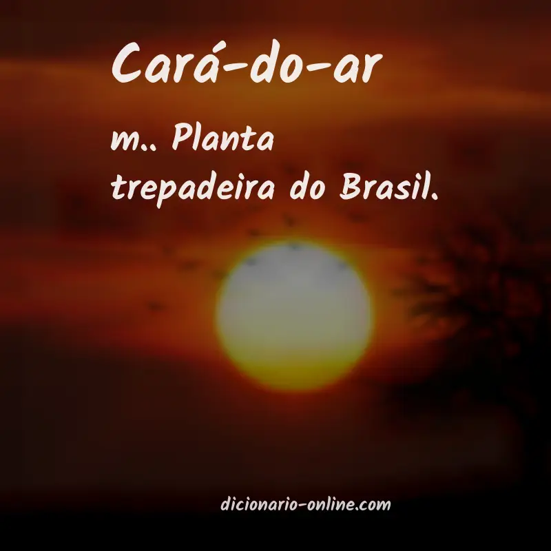 Significado de cará-do-ar