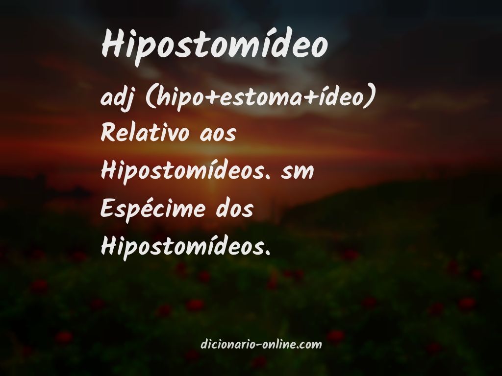 Significado de hipostomídeo