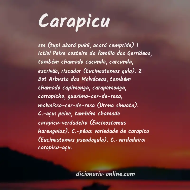 Significado de carapicu