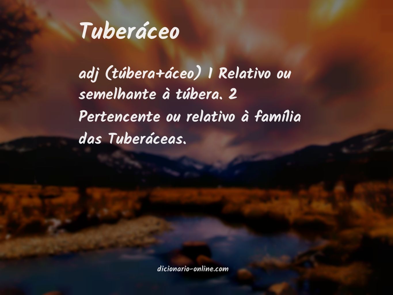 Significado de tuberáceo