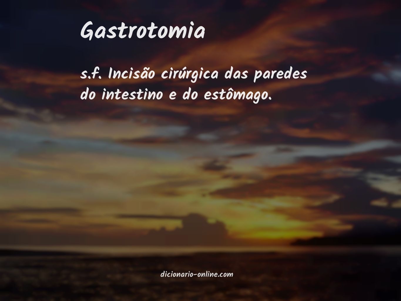 Significado de gastrotomia