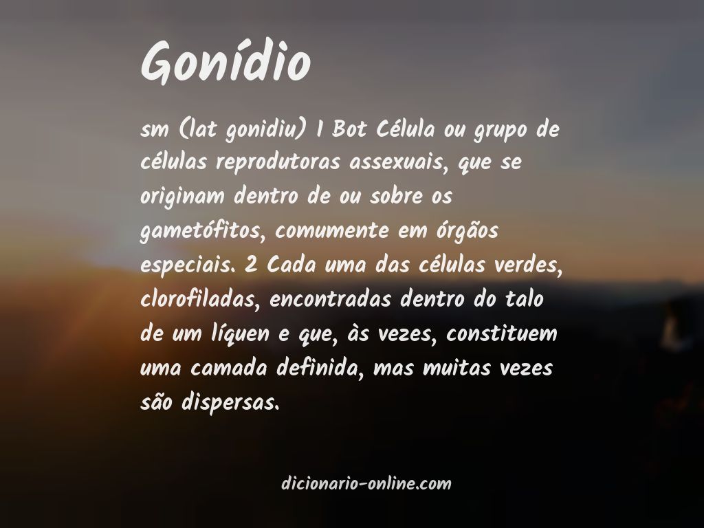 Significado de gonídio