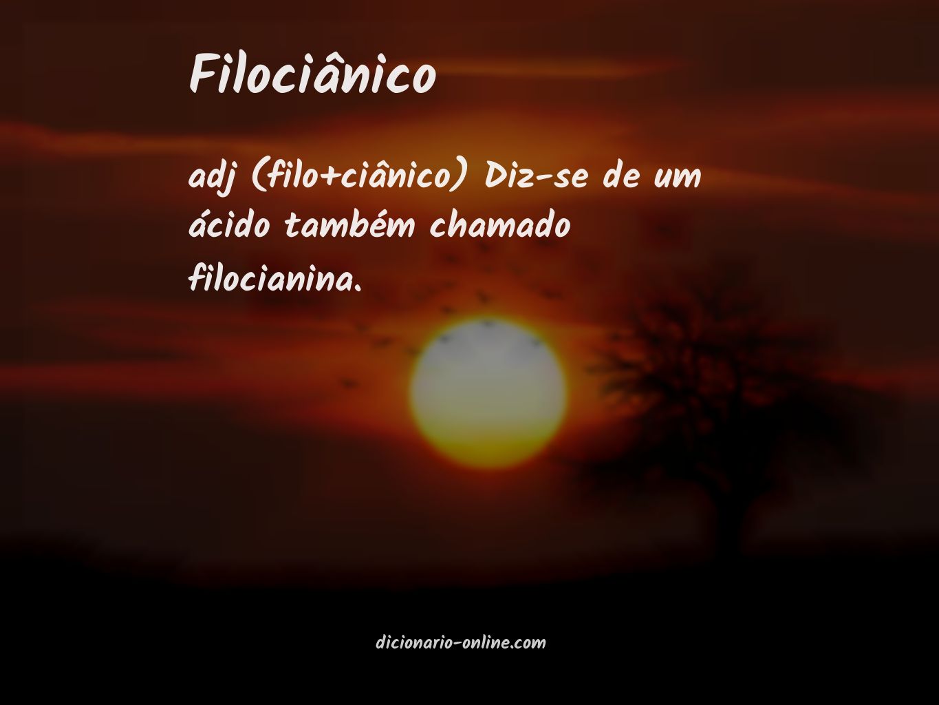 Significado de filociânico