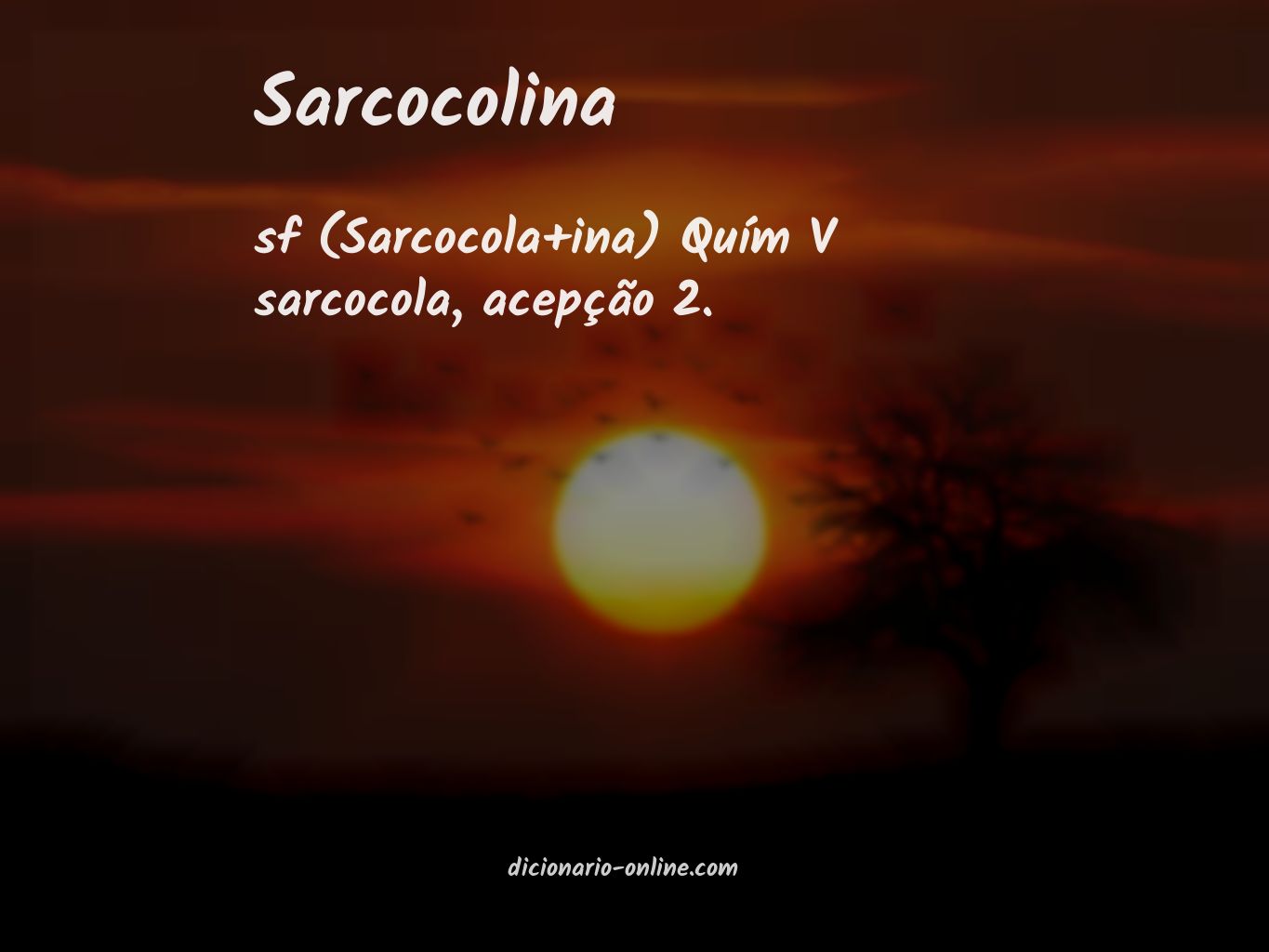 Significado de sarcocolina