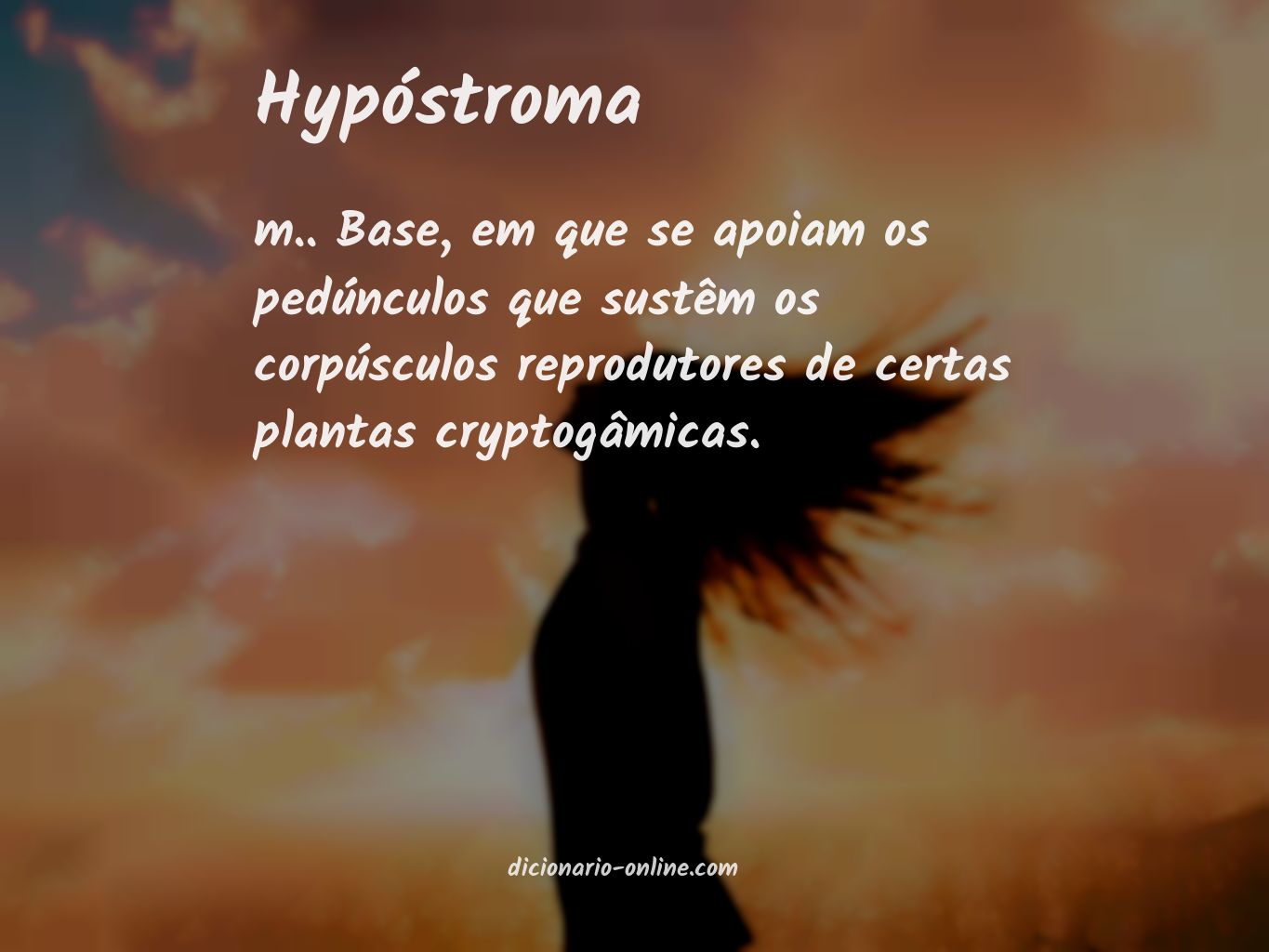 Significado de hypóstroma