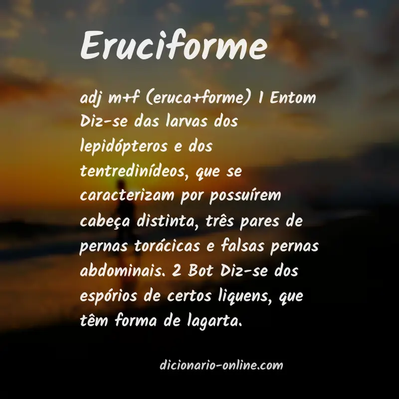 Significado de eruciforme