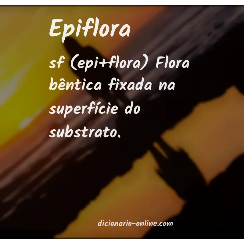 Significado de epiflora
