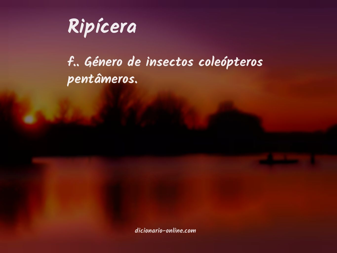 Significado de ripícera