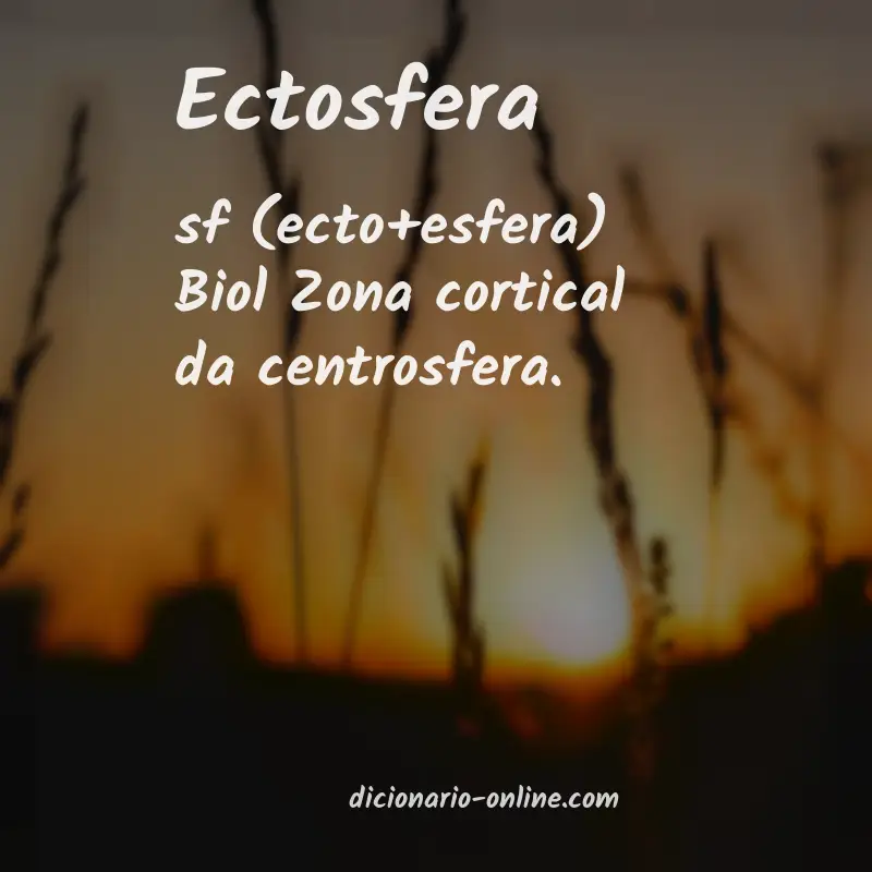 Significado de ectosfera