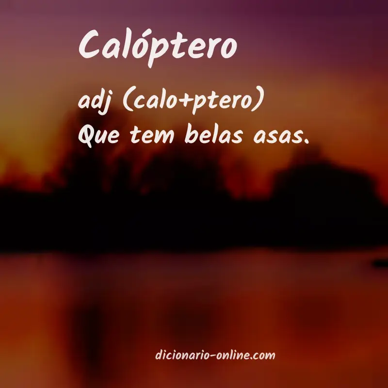 Significado de calóptero