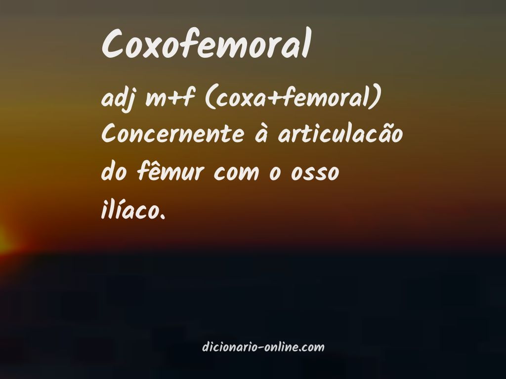 Significado de coxofemoral