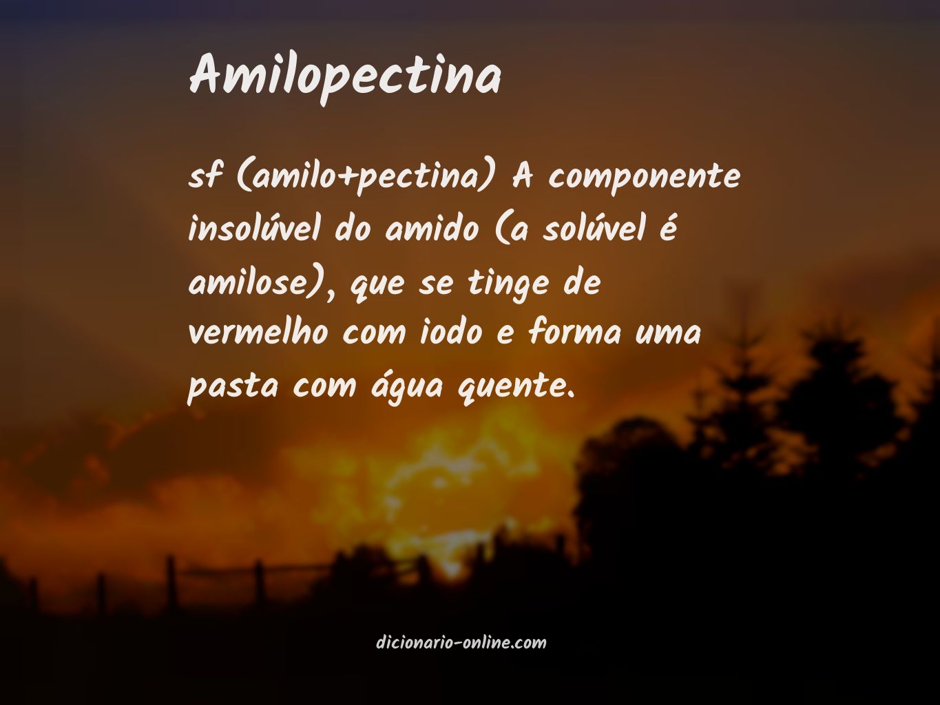 Significado de amilopectina