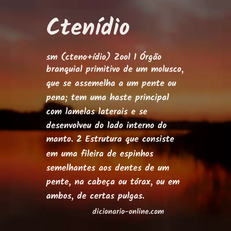 Significado de ctenídio