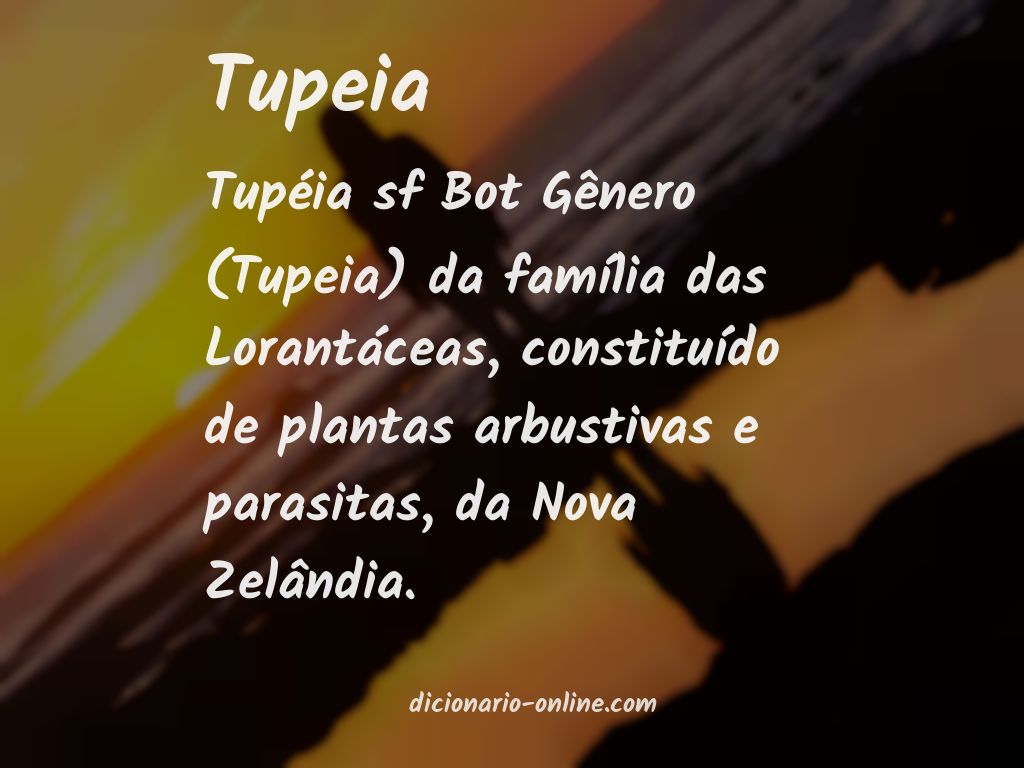 Significado de tupeia
