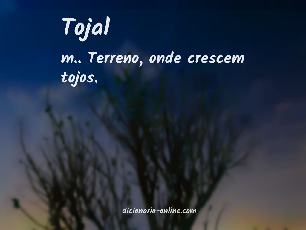 Significado de tojal