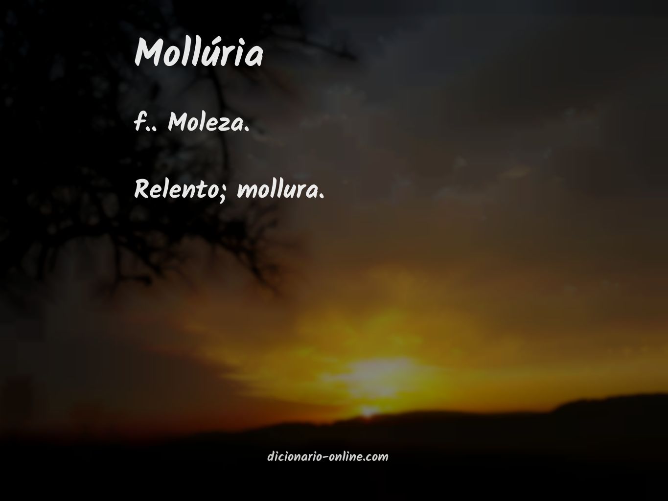 Significado de mollúria