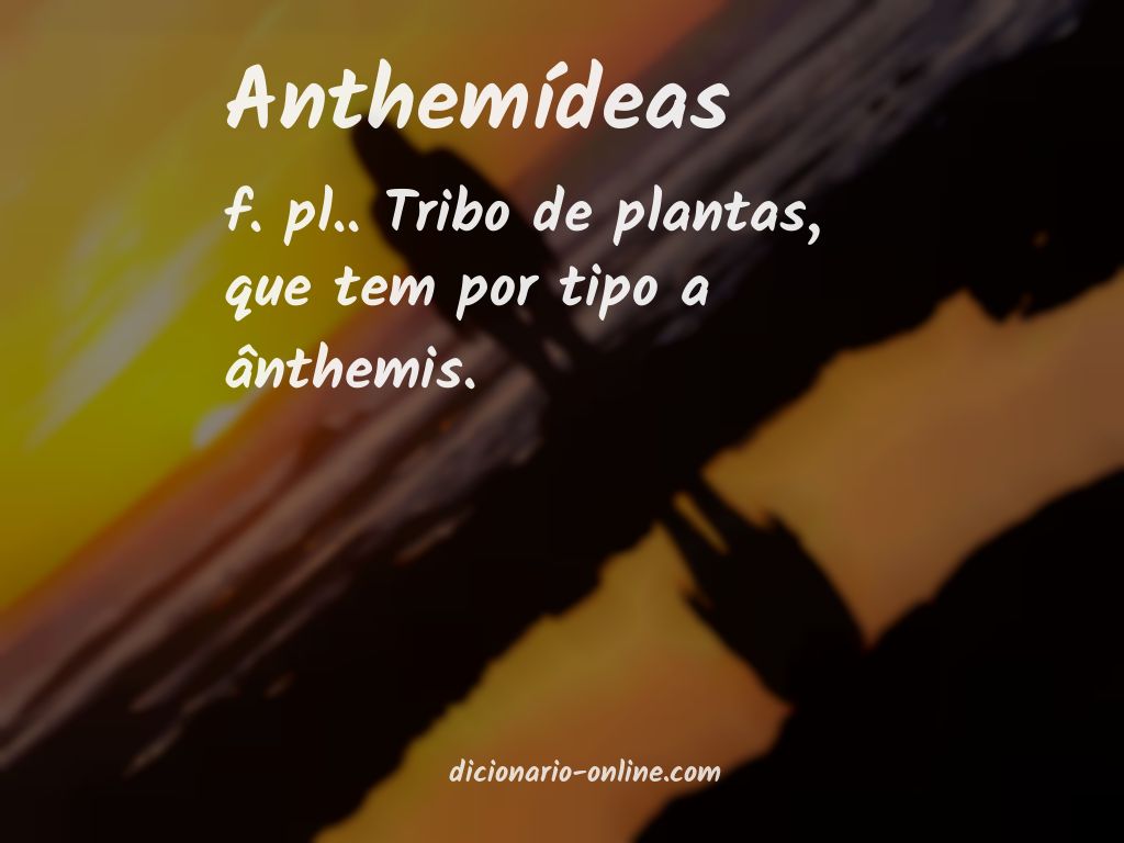 Significado de anthemídeas