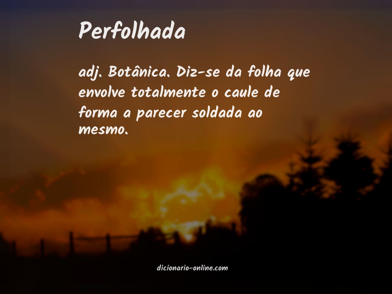 Significado de perfolhada