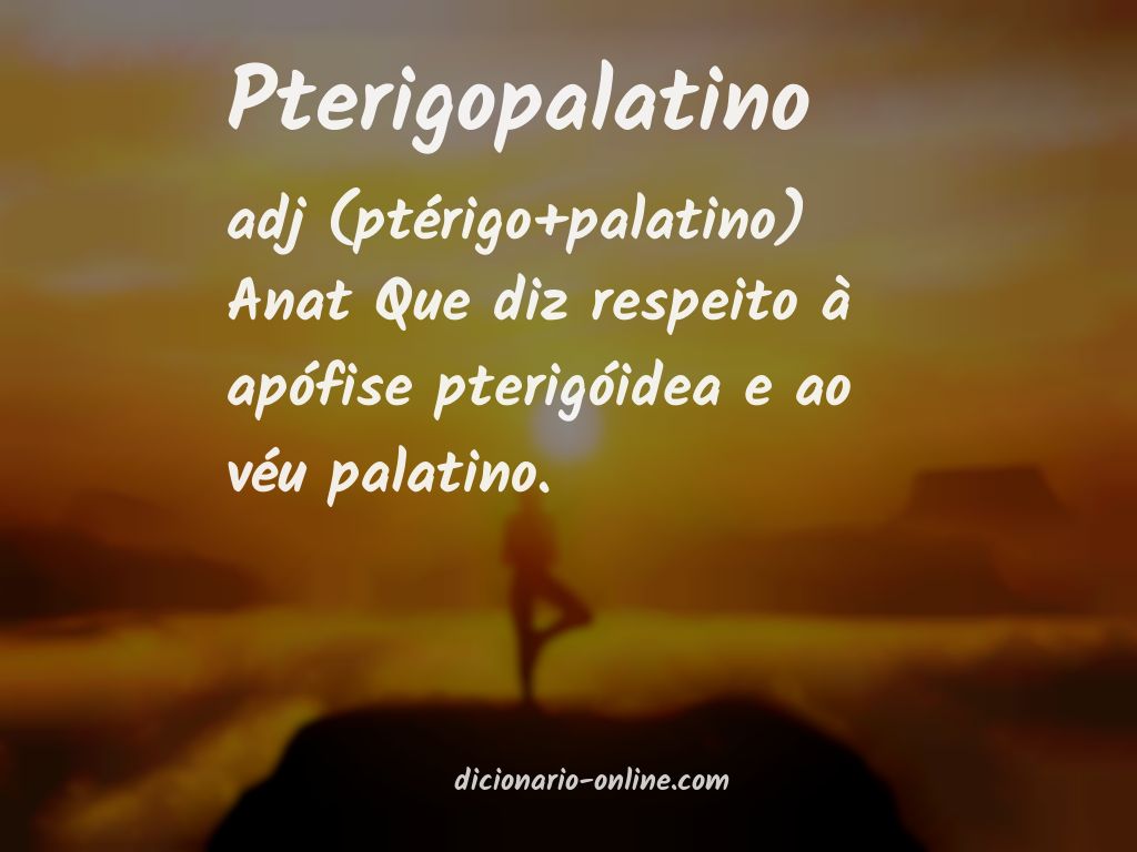 Significado de pterigopalatino