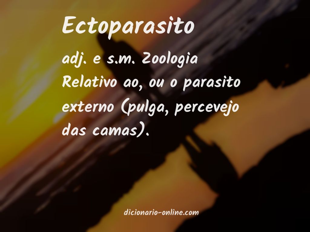 Significado de ectoparasito