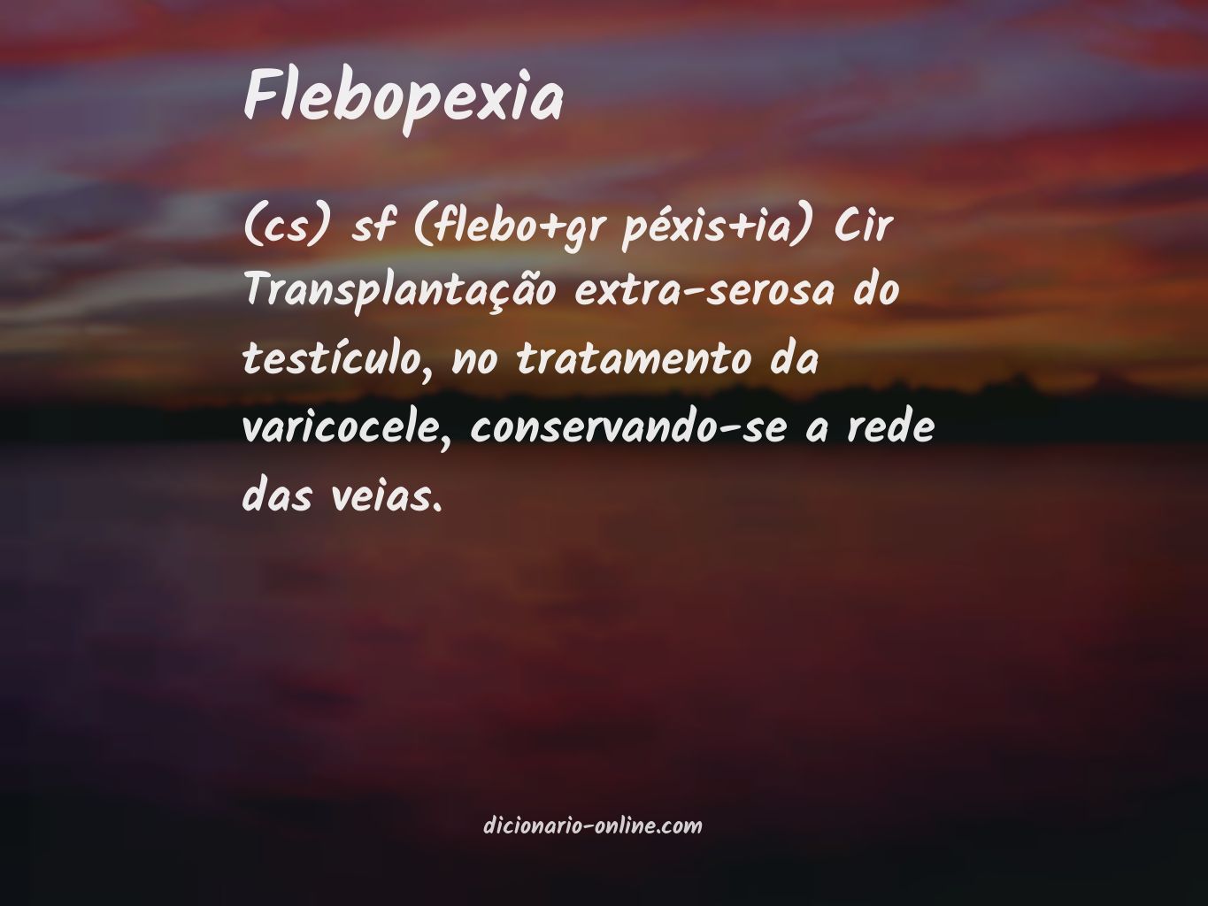 Significado de flebopexia