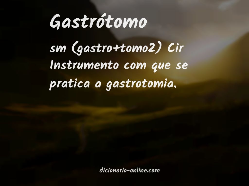 Significado de gastrótomo