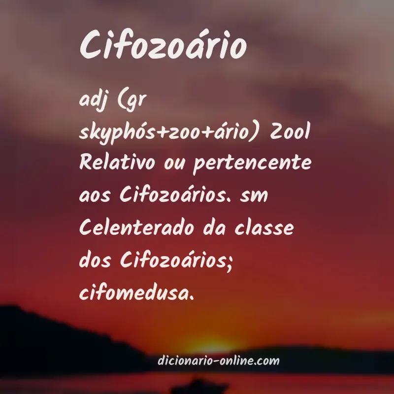 Significado de cifozoário