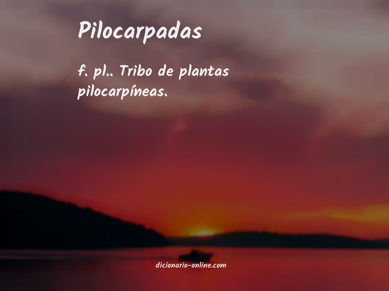 Significado de pilocarpadas