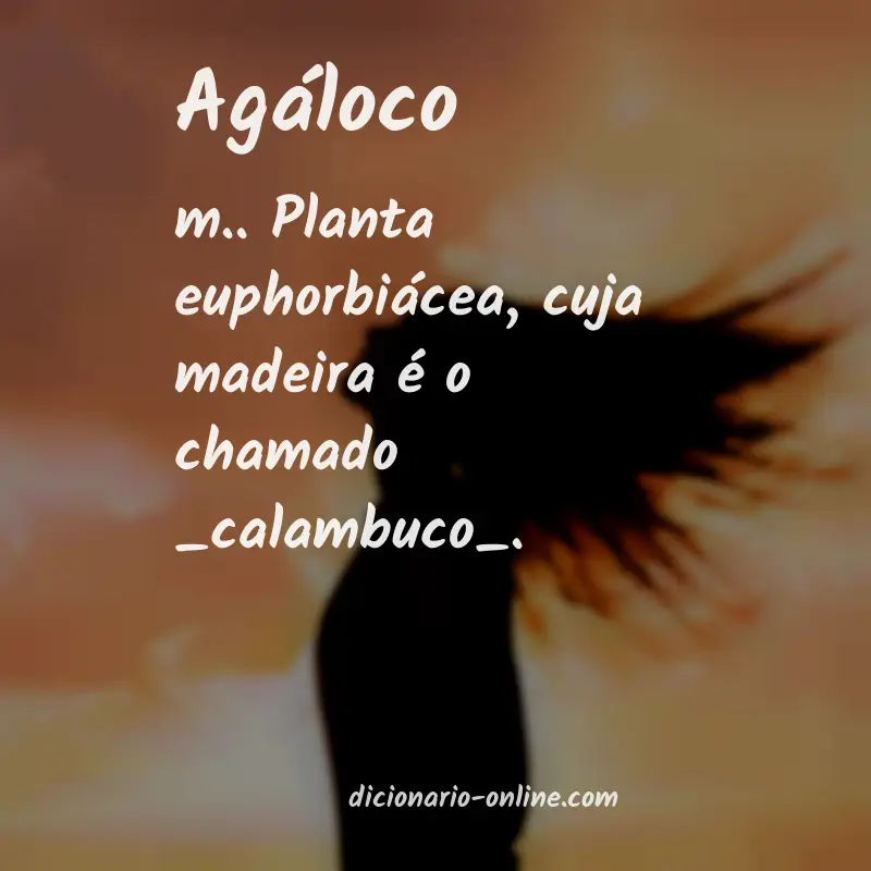 Significado de agáloco