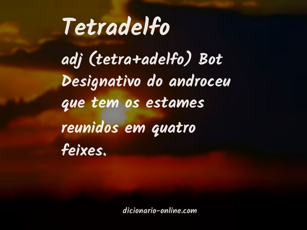 Significado de tetradelfo