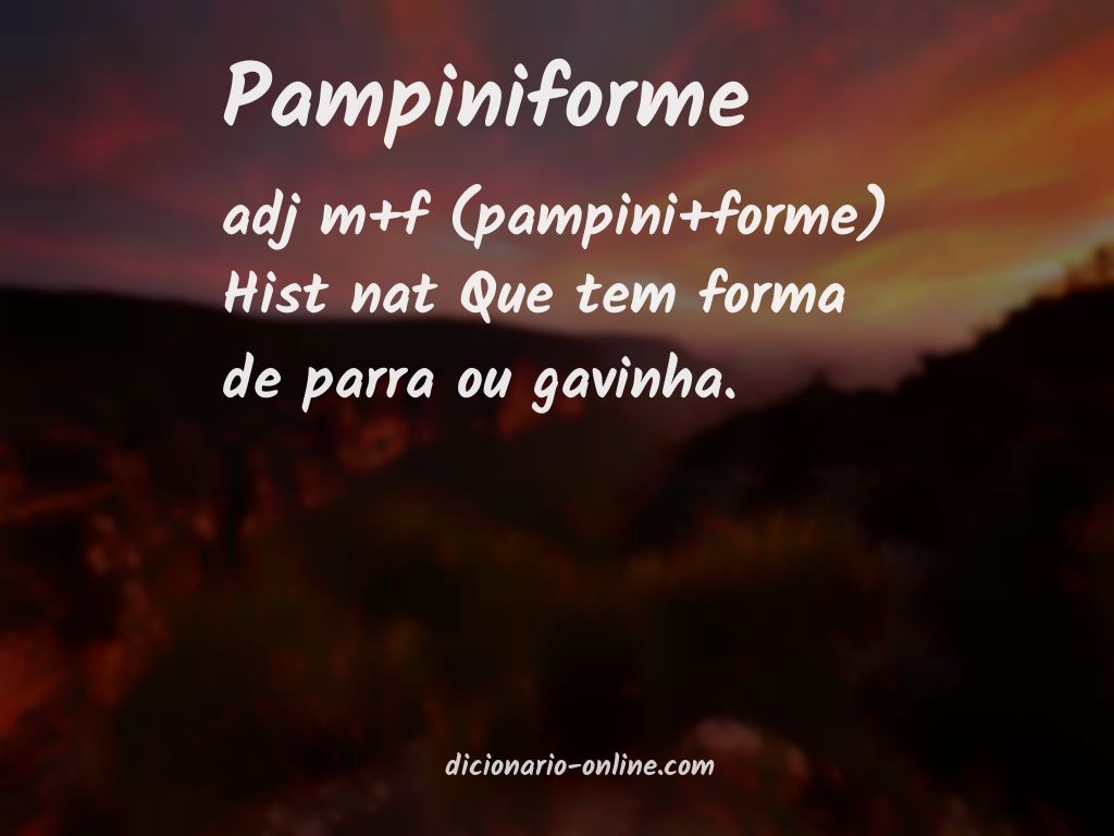 Significado de pampiniforme