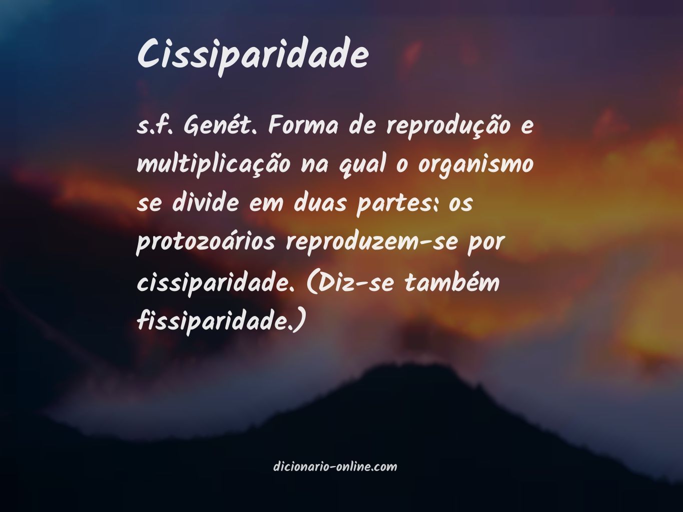 Significado de cissiparidade